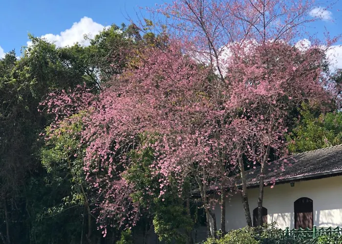 Ninho Dos Passaros Chales Monte Verde 