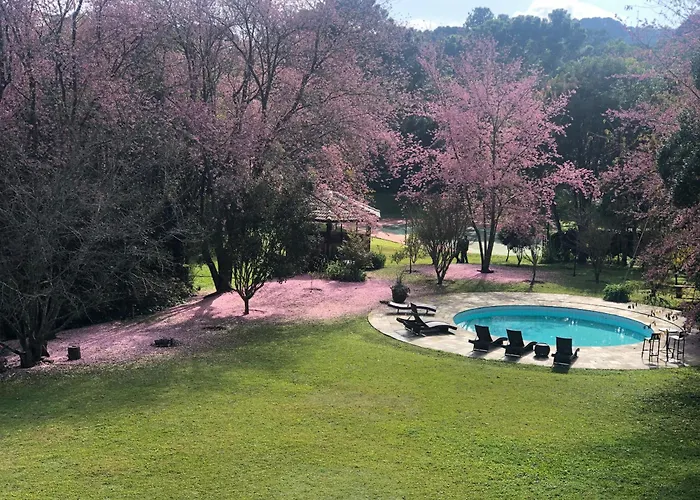 Ninho Dos Passaros Chales Monte Verde 